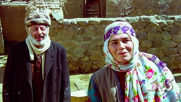 معرفی ملک خاتون خلاصه داستان و بازیگران - فیلم و سریال