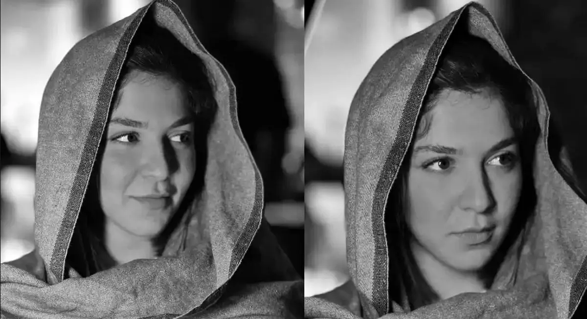 بیوگرافی سروین ضابطیان - وب‌گردی