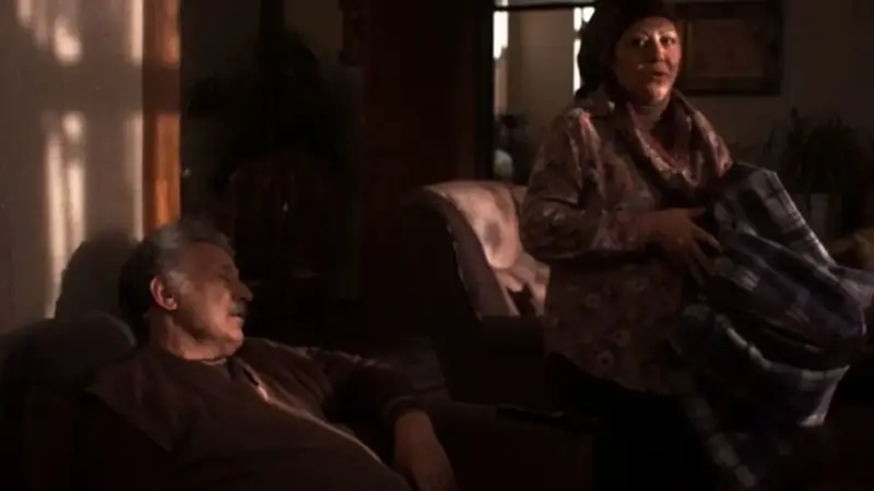 سفر در زمان | تغییر چهره مادر بیژن، گلی سریال آنام در 70 سالگی