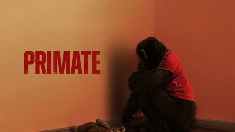 نقد و بررسی فیلم سینمایی Primate