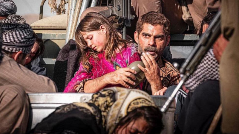 معرفی فیلم درخت گردو
