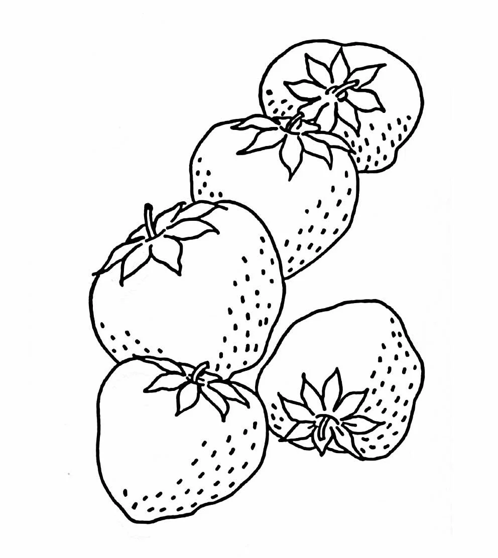 کاربرگ نقاشی میوه 