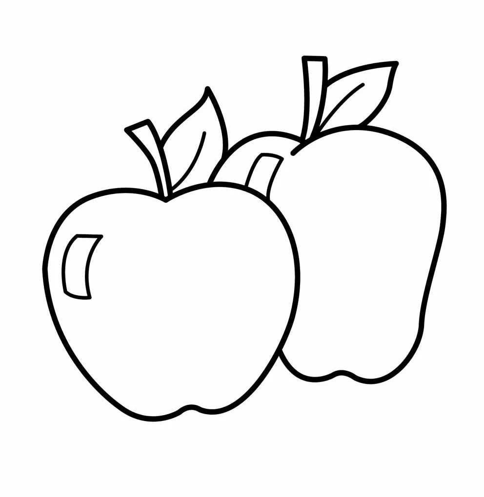 کاربرگ نقاشی میوه 