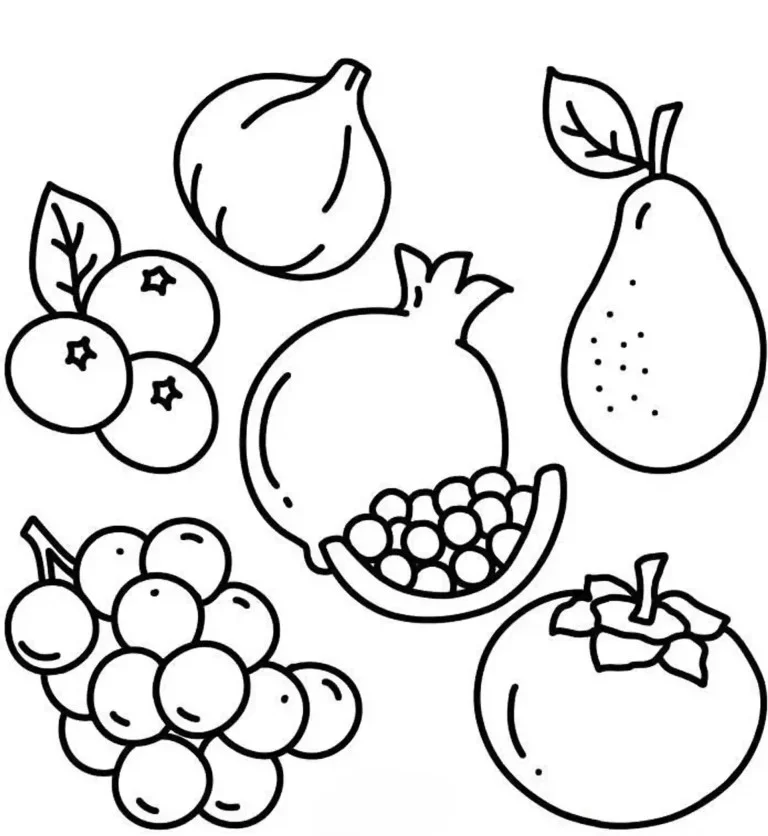 کاربرگ نقاشی میوه 