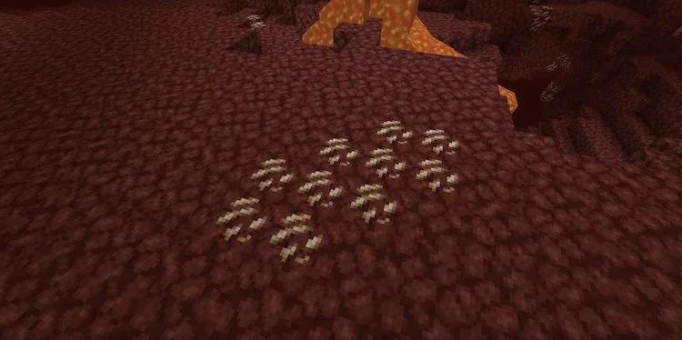 ندر (The Nether) در ماینکرفت جای خیلی خطرناکی است.