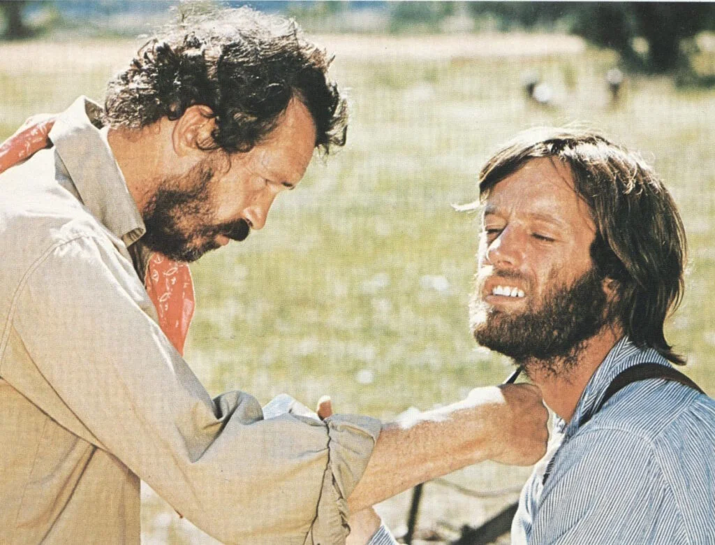 فیلم The Hired Hand