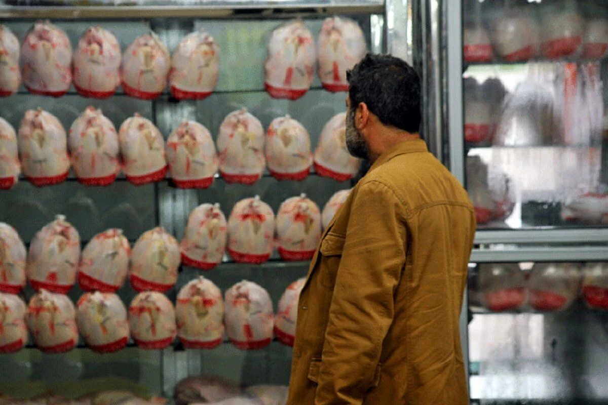 قیمت مرغ و تخم مرغ در بازار امروز شنبه 2 خرداد 1405 / بازار مرغ نوسانی شد - اقتصادی