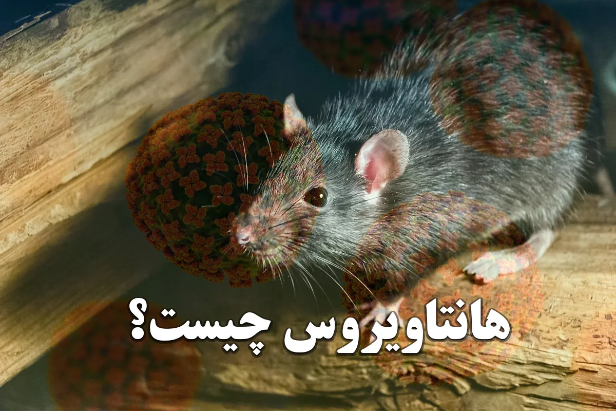هانتاویروس چیست و چگونه منتقل می‌شود؟ علائم اولیه - گوناگون