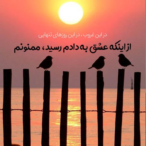 عکس غروب پاییز