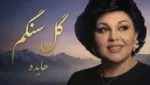 دانلود آهنگ هایده گل سنگم / گل سنگم چی بگم از دل تنگم - وب‌گردی