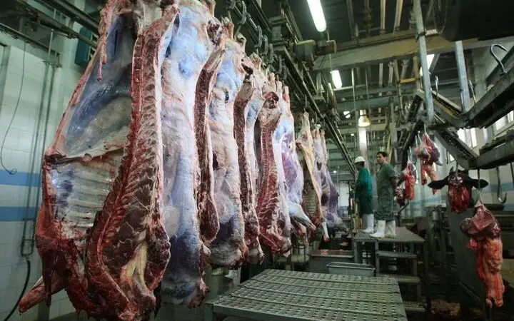 قیمت جدید گوشت قرمز ۱۹ خرداد ۱۴۰۵/ قیمت دل و جگر گوسفندی کیلویی از ۲ میلیون تومان گذشت + جدول