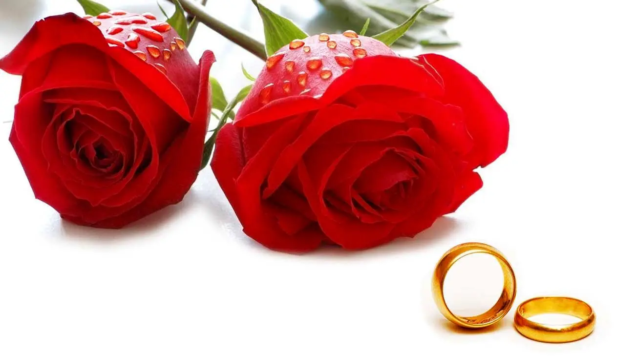 قابل توجه زن و شوهرها / 7 عادت شبانه‌ ای که زوج‌ های خوشبخت هرگز فراموش نمی‌ کنند چیست؟ - وب‌گردی