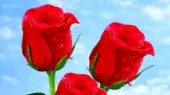 فال ابجد امروز 29 خرداد 1405