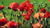 دانلود آهنگ از خون جوانان وطن لاله دمیده با صدای زن