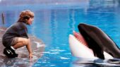 بازسازی فیلم خاطره‌انگیز Free Willy در استودیوی وارنز برادرز کلید خورد