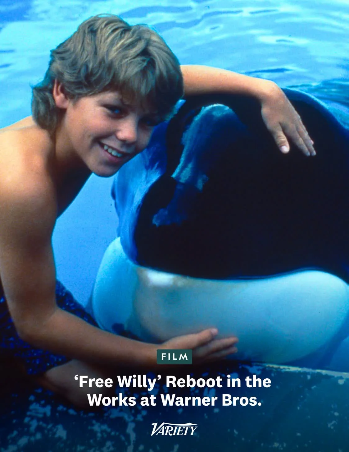 1000048259 Young Boy Smiles and Rests His Arm on a Killer Whale at an Aquarium Blue Water in the Background