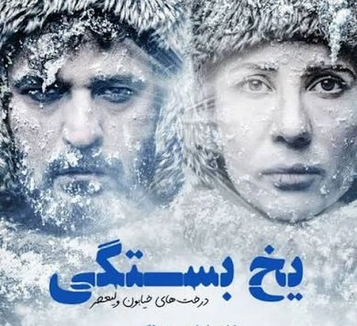ماجرای عشق نافرجام مجتبی پیرزاده و سارا بهرامی - وب‌گردی