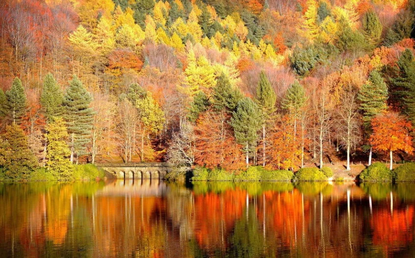 عکس پروفایل پاییزی